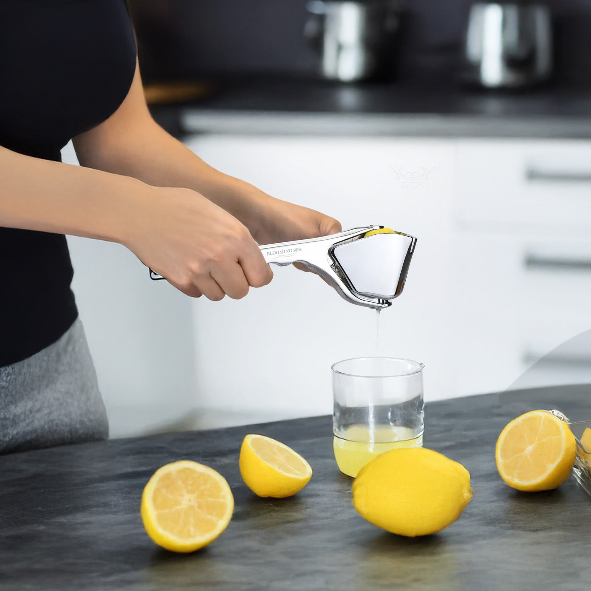 Lemon Squeezer - Compact & Heavy Duty